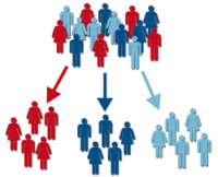 Why Segmenting Your Sustaining Donors Is Crucial for Growth
