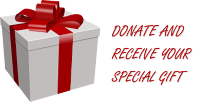 Should You Use a ‘Tchotchke’ for Monthly Giving?