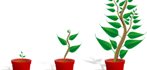 How Do You Manage a Large Sustainer Program?